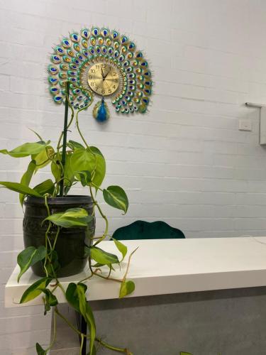 Hijama Clinic